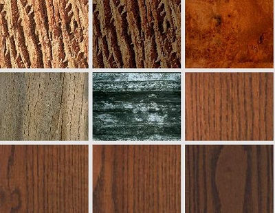Породы древесины для постройки дома